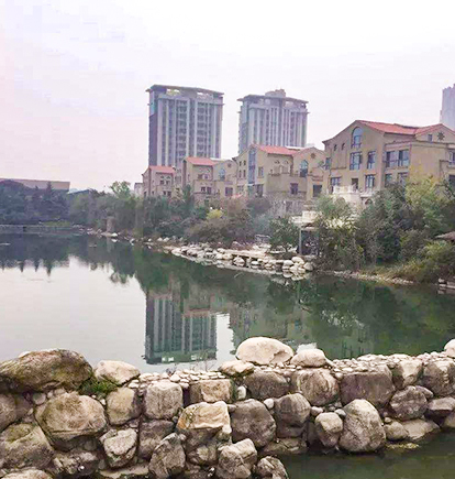 绿地与湖