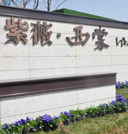 紫薇西棠